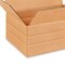 100 Pack Strong Multi Depth Corrugated Shipping Cartons for Mailing Moving and Storage 16 x 12 x 6 inch